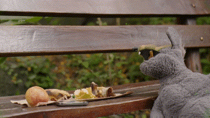 Random GIF 1