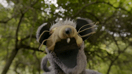 Random GIF 1