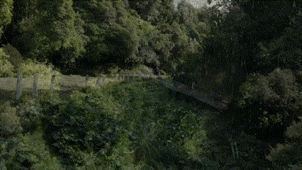 Random GIF 1