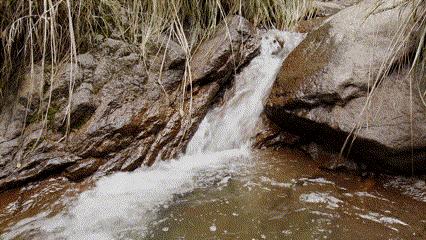 Random GIF 1