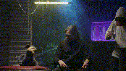 Random GIF 1